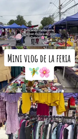 Haul ? 🧚🏻‍♀️ #thrift #segundamano #girls #vintage #secondhand  #thrifrshop #thrifting #thrifred #feriasdesegundamano #feriaschile  #VIog #feria #tianguis  #chile #parati #fypシ