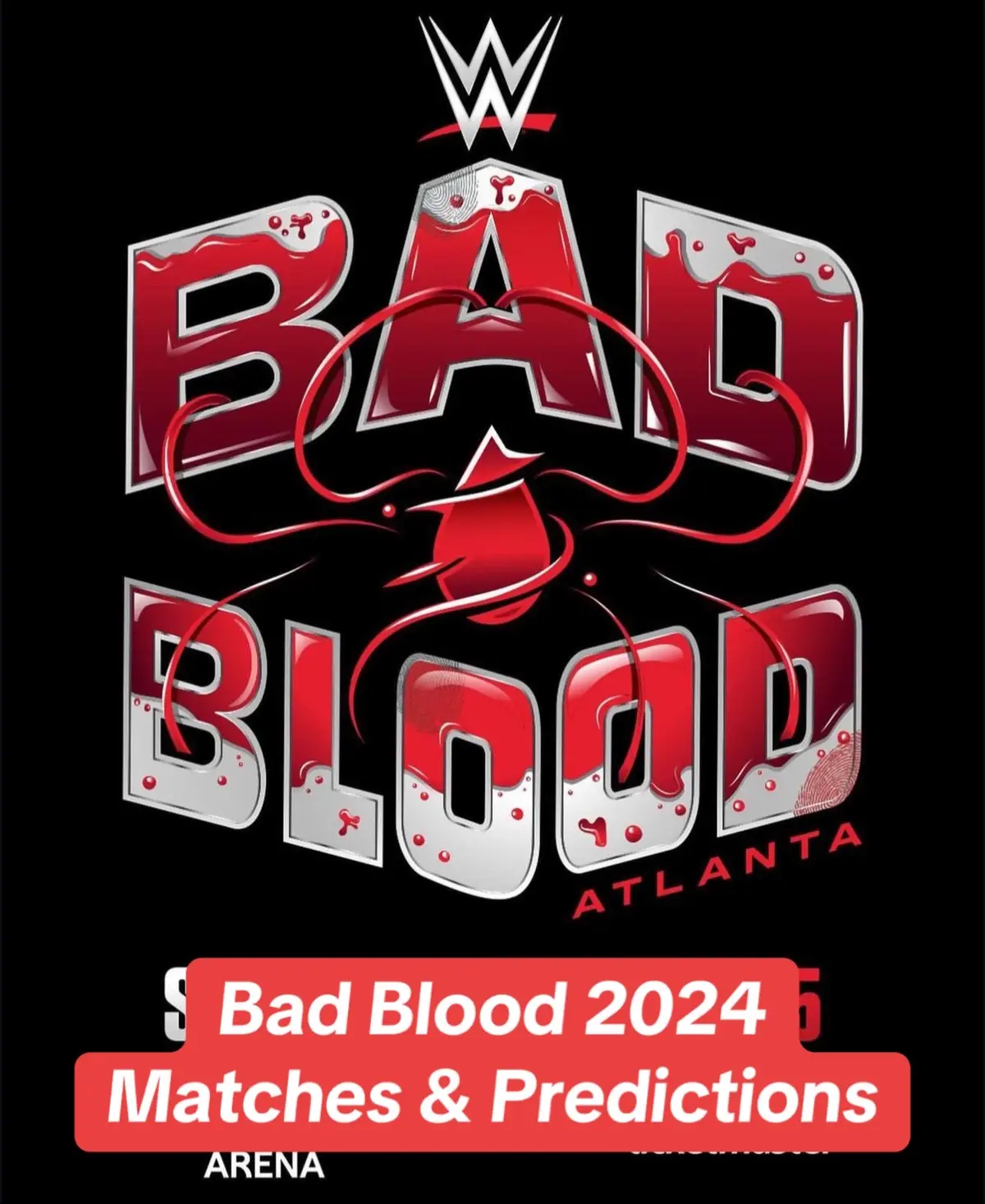 #WWE #badblood2024 #wwefan #wwettfam