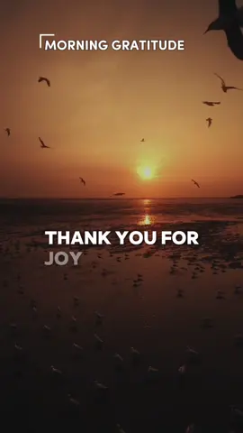 #creatorsearchinsights Morning Affirmation, Gratitude, and Mindset Quote Song Lyrics. Good morning motivation for her success! 🙌🙌🙌 It’s a fresh new start and a beautiful morning. ☀️❤️ #healingera #gratitude #morning #mindsetmotivation  #foryoupage❤️❤️ #fypシ #lyrics 