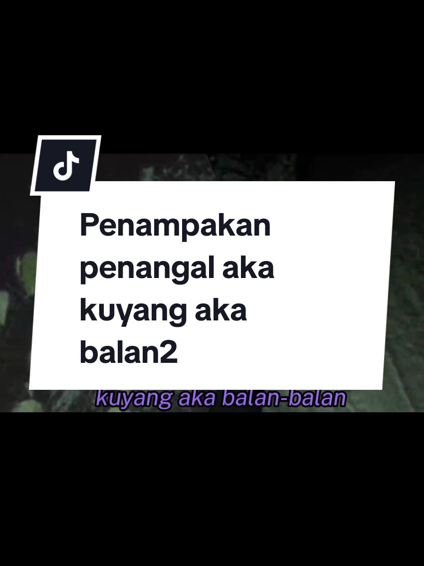 Replying to @ieda79sweet penampakan penangal, kuyang atau balan2#kuntilanakketawa #hantuviral #fyppppppppppppppppppppppp #fypシ゚viral #kuntilanak #cikponti #fyppppppppppppppppppppppp #pocong #pocong #puntianak #pocongviral #pocongtiktok #penangal @GG FOODIES @꧁🅸🅳🅰꧂✌ @patehsaifuddin 