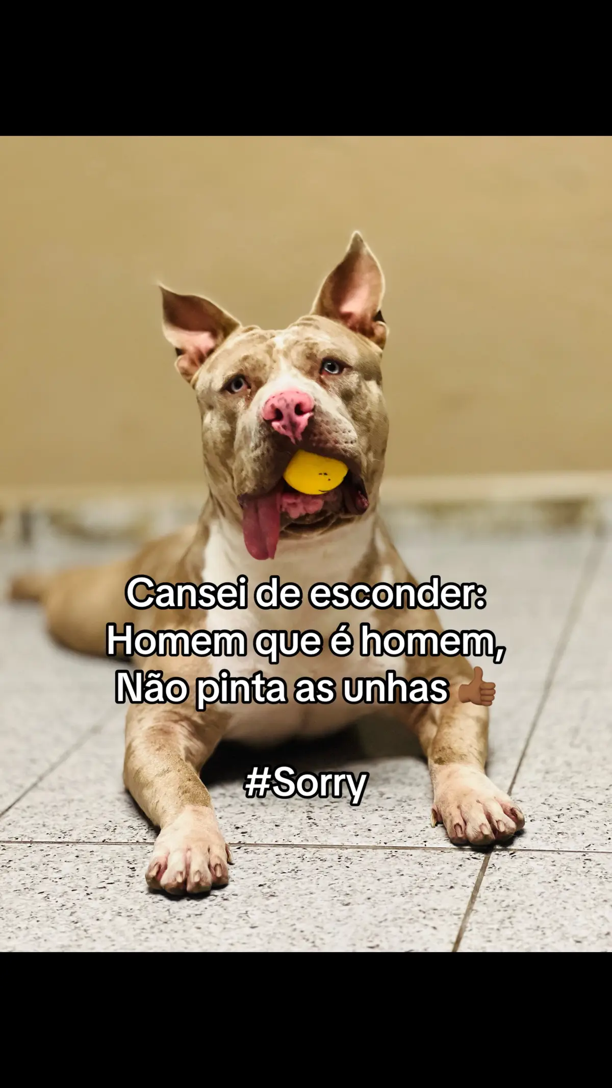 #sorry #trend #fy 