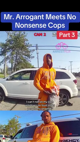 Mr. Arrogant Meets No Nonsense Cops #cops #police #viral #trafficstop #usa #flypシ 
