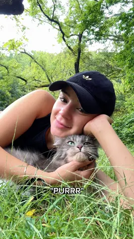 Took our cuddle sesh outside 🐱🌳💖
