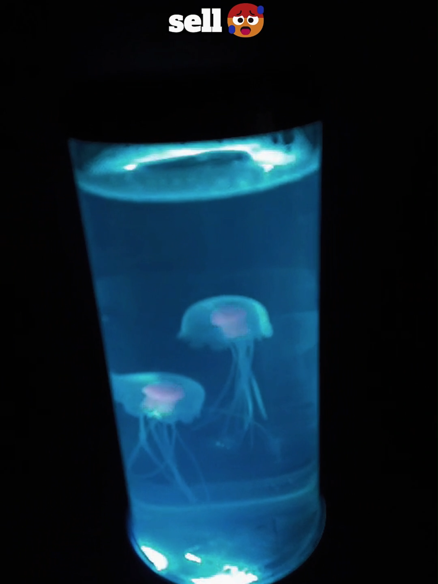 What people think we sell🤮Vs What we actually sell🥵 #fyp #fy #lamp #jellyfishlamp #jellyfish #ocean #lamps #ocean #decor #decoration #led #leds #tiktokmademebuyit #amazonfinds #light #lights #lighting