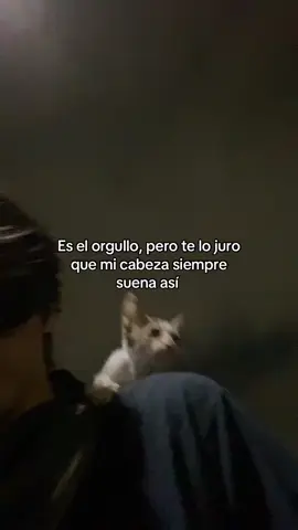 Siempre #fyp #foryoupage #parati #pti #pt #xyzbca #viral #real #xyzbcafypシ #viral_video #lasantagrifa #sabanasblancas 