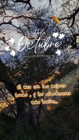 octubre 🍂🧡 #🌙 #🌅  #bienvenidooctubre #🧡  #octubre2024 #mejormesdelaño #💀  #lunasdeoctubre🌙 #atradecer  #paratii #fo #fypシ゚ #fy  #paratiiiiiiiiiiiiiiiiiiiiiiiiiiiiiii 