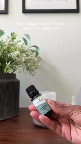 Dont get me wrong, I love a good candle but dont sleep on essential oil diffusers @Plant Therapy ⁣ ⁣ #essentialoildiffuser #wellnessjourney #oildiffuser #essentialoils 