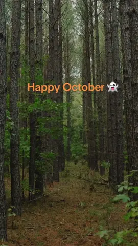 THE ENDING WAS NOT PLANNED 🙃 @Infinite Film + Photo | Reanna #october #happyhalloween 