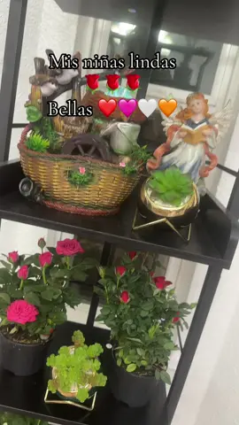 🩷❤️🧡💛