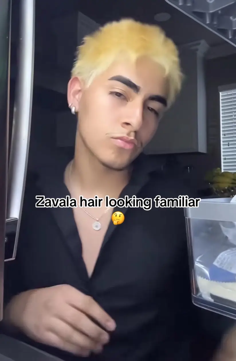 LMAOO I ALSO SENT HIM THIS ON INSTA 😭 #zavala #hairdying #robloxhair #funny #fyp #fypp #fypツ #fypシ゚viral 