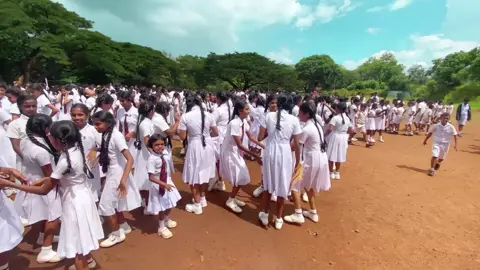 #ජීවිතේ හොඳම කාලෙ පාසල් කාලෙ#Sri naga national school Children day celebration #srilankan #trendingvideo #viraltiktok #fyp 🥹💖🫂