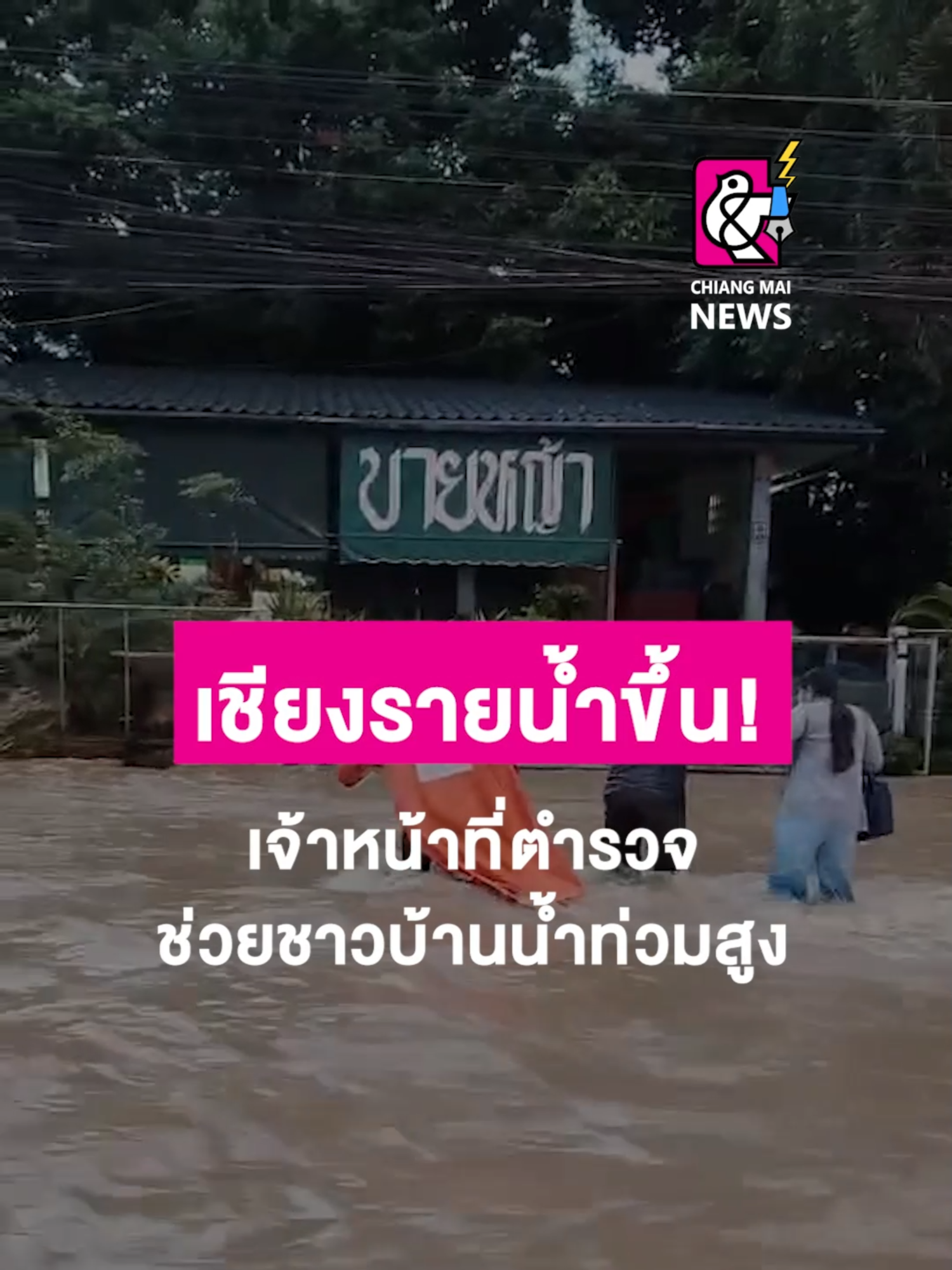 เชียงรายน้ำขึ้น! เจ้าหน้าที่ตำรวจ สภ.บ้านดู่ จ.เชียงราย ช่วยชาวบ้านน้ำท่วมสูง . #เชียงใหม่นิวส์ #chiangmainews #ข่าวเชียงใหม่ #tiktoknews #น้ำท่วม #น้ำท่วมเชียงราย #น้ำท่วมภาคเหนือ #น้ำป่า #น้ำป่าไหลหลาก