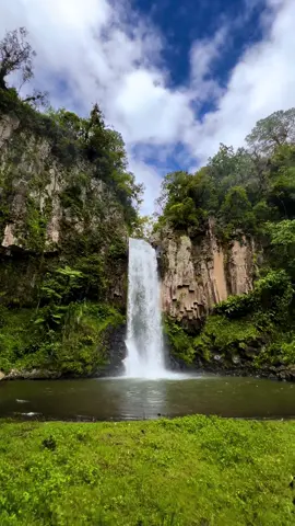 Que relajante estar en estos lugares  Contáctanos para disfrutar asi de la naturaleza. #aventuraysenderismojv #viviendolasierra #pachamama #pueblomagico #guia #ruta #senderismo #caminata #lugares #increibles #naturaleza #paisajesnaturales #bosque #rutas #pueblosmagicos  #conectar #experiencia #pueblomagico #cerros #piasajes  #arbol  #vistas #caminata #rutasguiadas