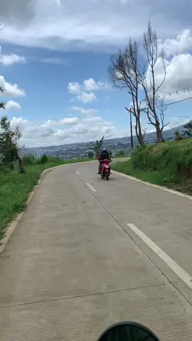 View jalanan puncak 2 bogor seindah ini guyys✨🥹🍃🍃#liburan #bogor #jawabarat 