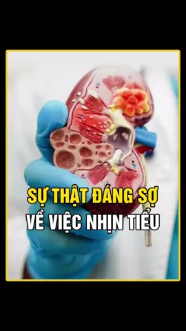 Hậu quả của việc nhịn tiểu có thể bạn chưa biết?  #kienthucthuvi #khoahoc #khampha #kienthuc #socolive #blvsocolive 