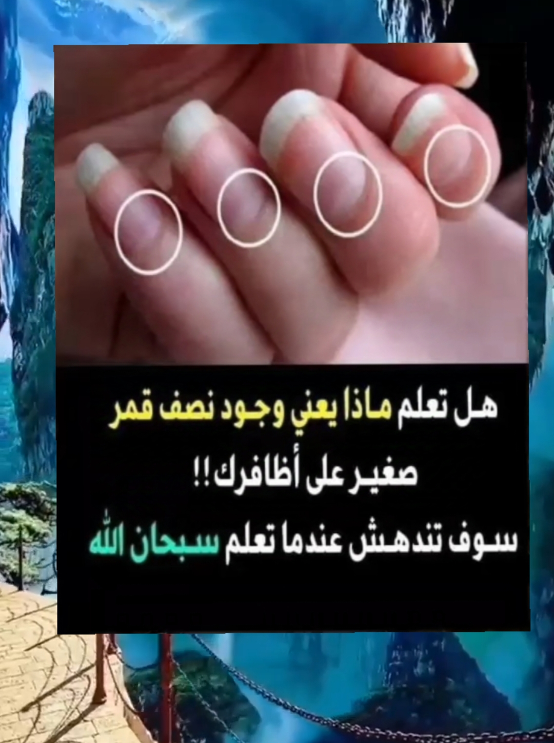 #بسم_الله #infoandfacts 