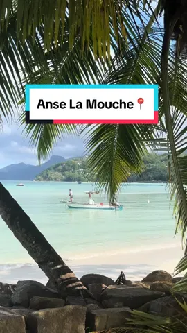 Mentally we’re here…🌺🌴🥥 . . . Anse La Mouche📍 #seychellestiktok🇸🇨 #visitseychelles🇸🇨 #islandlife #seychellesisland #tropical #seychelles 