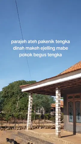 #madurapride #ayamgeprek #fypシ゚viral #fyp #katakata #cyzbca 