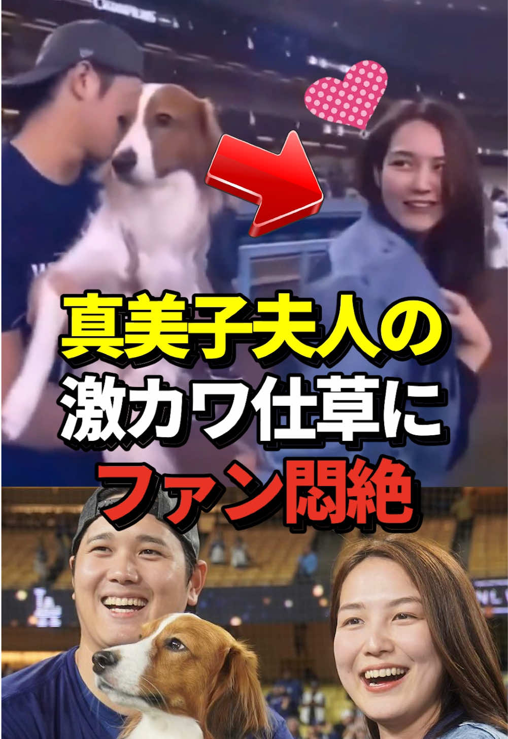 真美子夫人が大谷翔平に対して激カワ仕草を見せる！ファンも悶絶！#大谷翔平 #ドジャース #田中真美子 #真美子夫人 #デコピン 