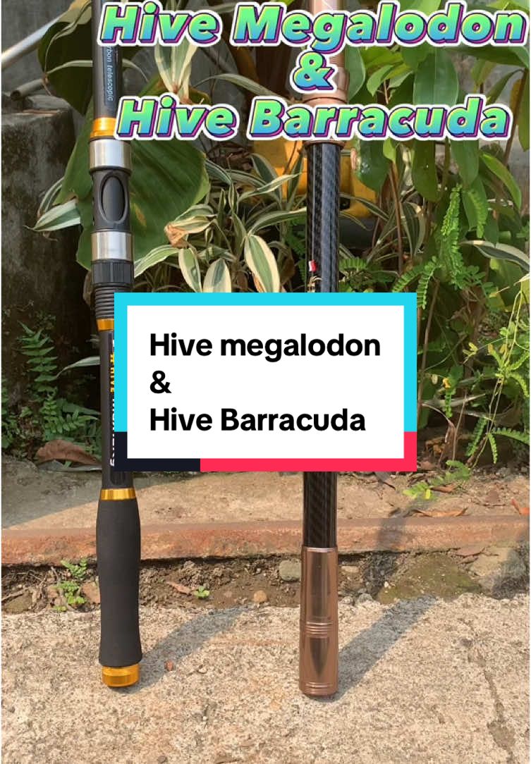 Joran pancing rekomendasi mancing pinggiran Dari Hive megalodon dan Hive barracuda Power 20 Kg dan 12 KG #hobimancing #mancinglaut #joranpancing #joranmurah #joran 