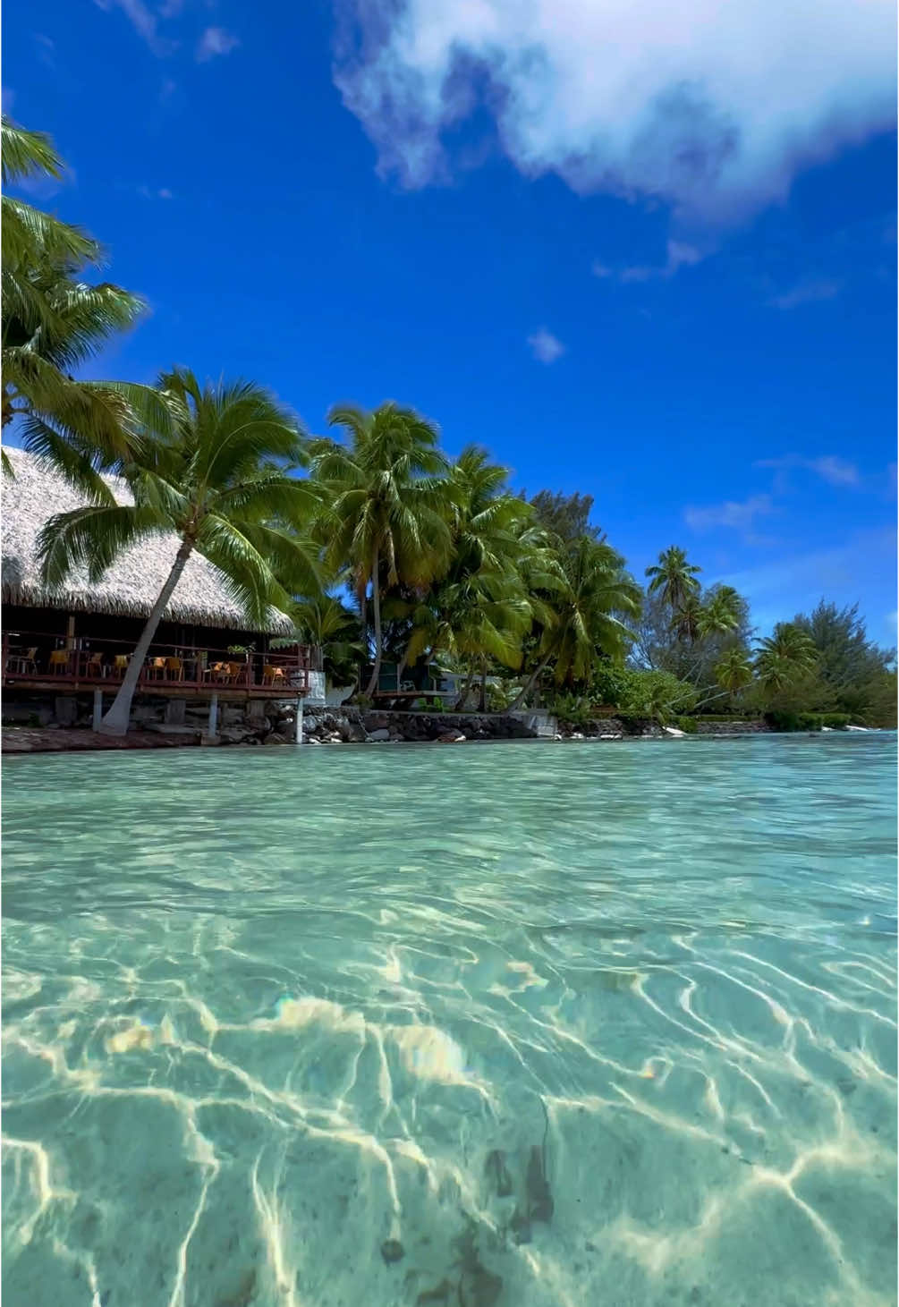 🏝️🥹👙☀️🥥 #beautifuldestinations #polynesian #moorea #polynesie #tahiti #dreamdestination #bucketlist #tropical #landscape #summervibes #eauturquoise #crystalclearwater #dream #traveltiktok #viraltiktok #frypgシ #pourtoi #voyage @Tahiti Tourisme 