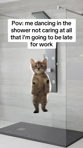 Gotta love a boogie in the shower #shower #fyp #work #Meme #MemeCut #foryoupage #blowthisup #relatable 