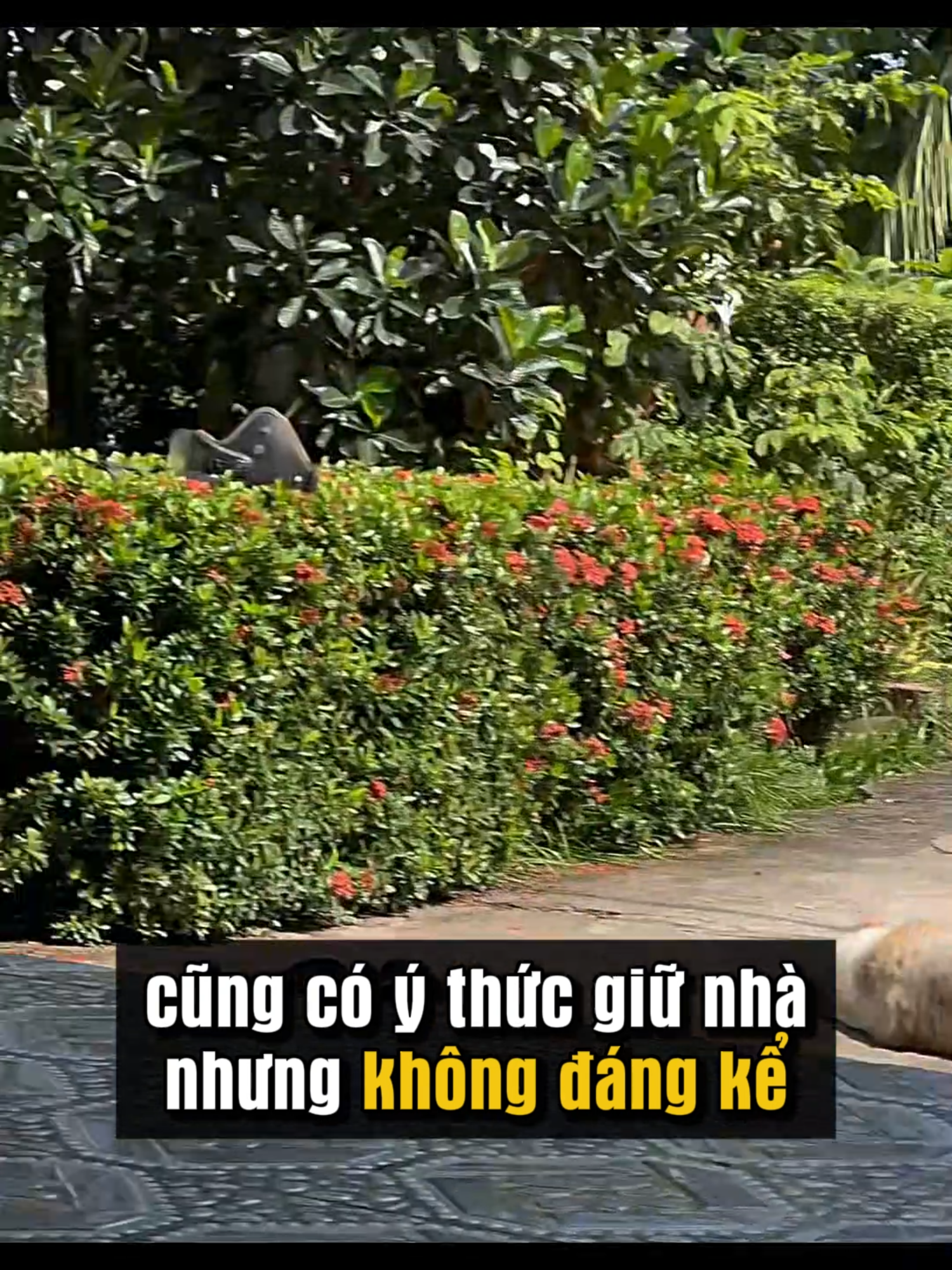 Lương 3 triệu chỉ làm đến thế thôi #xuhuongtiktokk #chuyenla #giaitri #thuvi