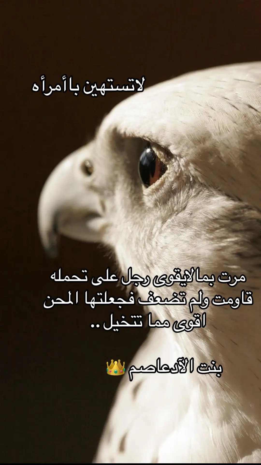 #بنت الهيلا 👑#شاعره ##عتيبه511 #العصيميه♕ #كبرياء_انثى🖤 #كتاباتي #عتيبه_روق_برقا_الهيلا #الايام #عزوتي #فخر #قصيدة_شعر_أبيات #عتيبه #الادعاصم #fypシ #اكسبلور 