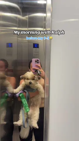 Moochie moo wants everyone to have a great morning 💖 #moochiemoo #dogmomstruggles #dogmomlife #workingdogmom #work #dogsvideo 