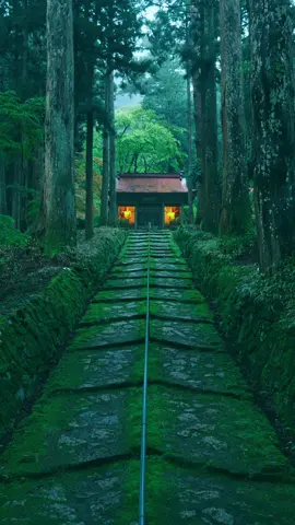 異世界に連れて行かれそうな参道… 📍滋賀県【金勝寺】/ 🇯🇵Shiga Prefecture A traditional Japanese temple surrounded by beautiful moss and natural environment. It's in the mountains and you'll be healed by a calm atmosphere. #滋賀  ##日本の風景#神社 #寺#寺#shiga  #japantravel