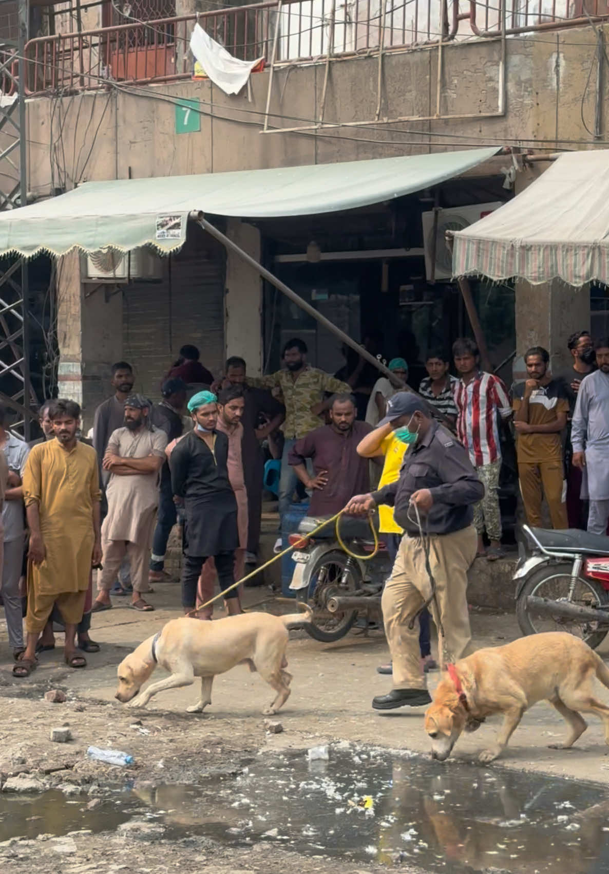 Tolinton market Wildlife Department Against Animals Rate 😱😳#petlovers #prettypets_2 .0 #fyp #viralvideo #🐶🐶🐶🐶 