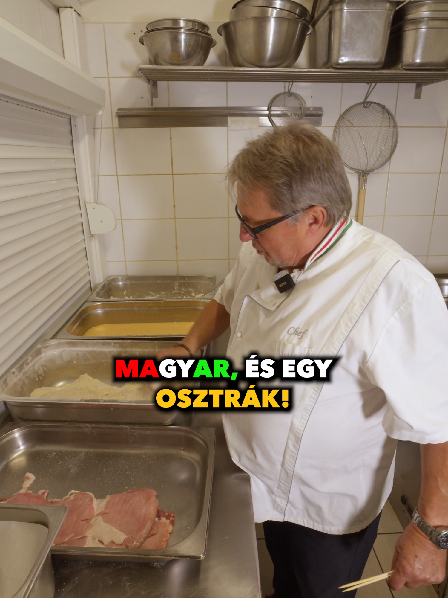 Mitől is lesz olyan különleges A RÁNTOTTHÚS? Most Bíró Lajos személyesen mondja el nektek! 🥩🤩🐖 #bujadisznok #rántotthús #fyp #magyartiktok #foryoupage