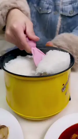 Nồi điện mini nấu đa năng#noidiendannag#noidienmini#noicomdienmini#dodungtienich #tiktokviral #xuhuong  