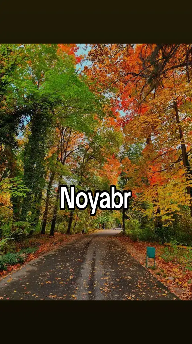 Noyabr 