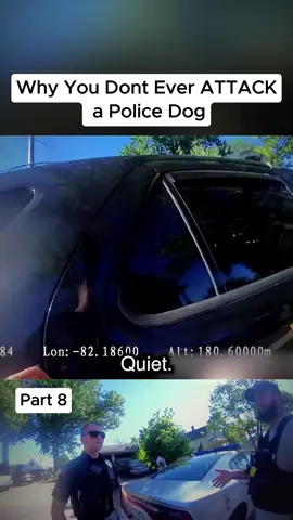 Why You Dont Ever ATTACK a Police Dog Part 8 #dog #police #cops#suspects #criminal#911 #bodycam#foryo #fyp