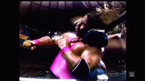 Bret Hart v Mr. Perfect (SummerSlam, 1991) #brethart #brethitmanhart #wwemrperfect #professionalwrestling #wrestletok 