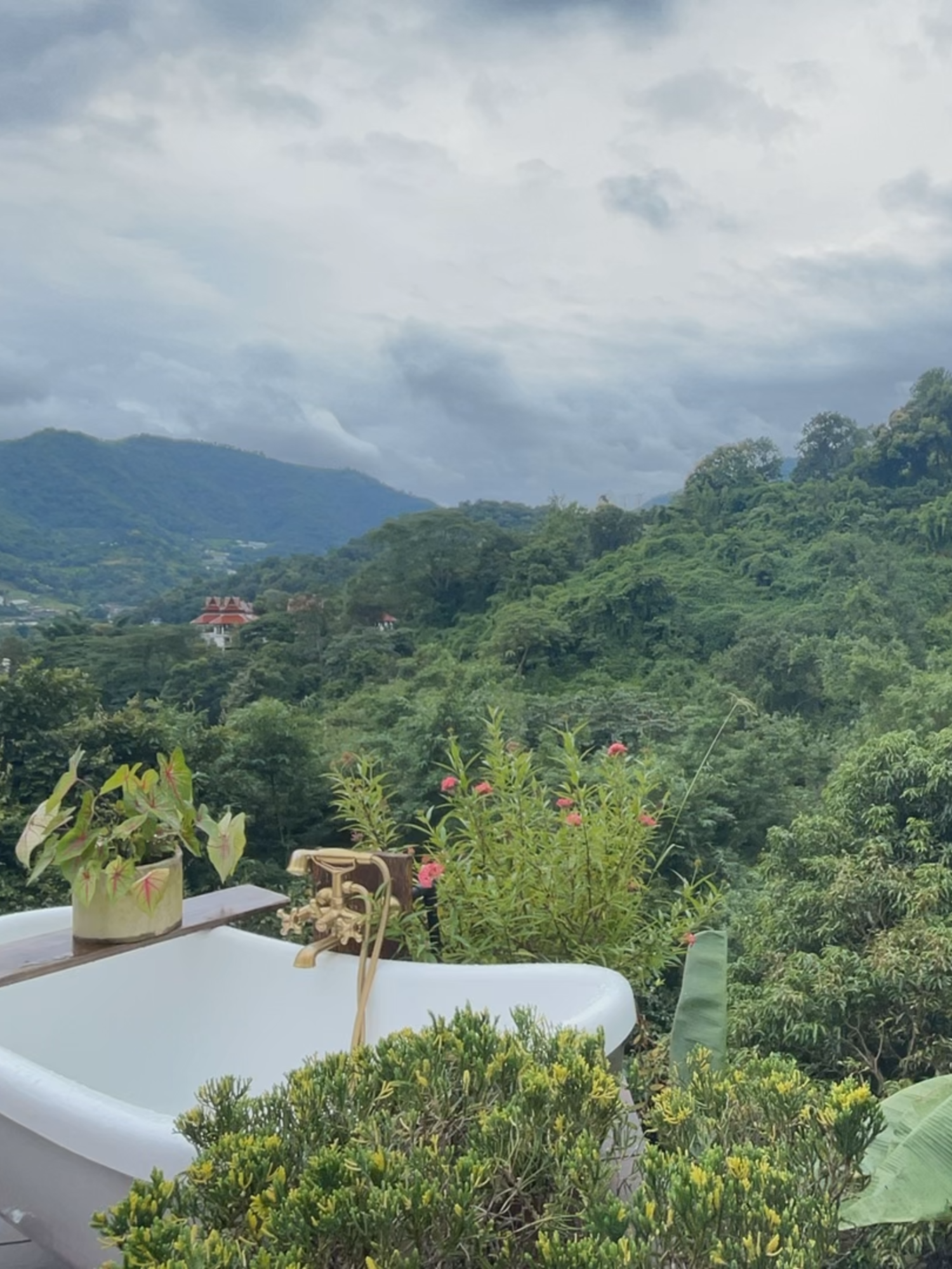 Loving every little bit of this view #nature #natureview #naturelover #calm #clouds #timelapse #chiangmai