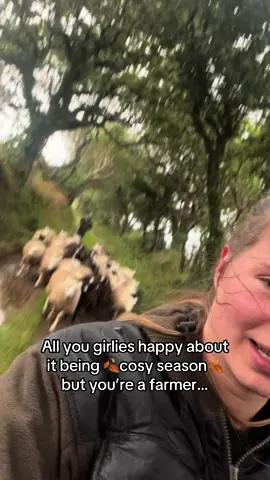 🍂muddy season🍂  #cosyseason #hoahoa #cosy #autumn #sheep #sheepfarming #farming #farmer #farm #zwartblessheep #pedigree #shepherd #shepherdess #foryou #fyp #foryoupage #fypシ #zwartbles #follow #fypシ゚viral #trending #viral 