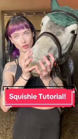 Squishie tutorial because every pony deserves the squish. Dont listen to Misty, i want to see your attempt!! 🥰🫶🏼 Especially @Morgan / Dorks with a Horse 🫵🏼 who was the inspo! #equestrian #equine #horsegirl #horsetok #horsetiktok #horsesoftiktok #equestrianvibes #equestrianlife #horseriding #fyp #foryou #abcxyz #xyzabc 
