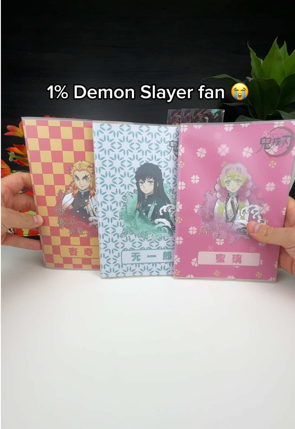 POV: Demon slayer is your whole life 😭❤️ 