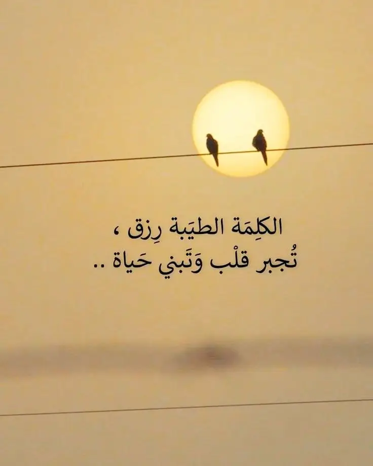 لا شي يمر فى حياتك عبثاً  #ادبيات  #ادب #كلمات #جمل 