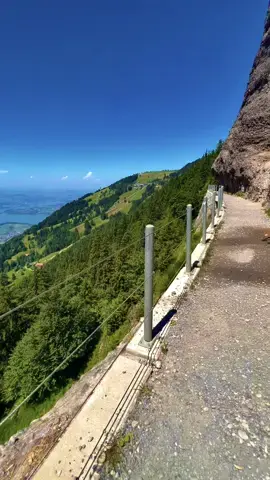 Bellisdimo sentiero con vista da mozzafiato sul lago Quattro Cantoni 😍❤️  #freedom #postiunici #uniqueplaces #beautifulplaces #liberta #❤️ #imhappy #beautifulviews #mylife #wonderfulworld #belucky #bluesky #switzerland🇨🇭 #lake #crossing #mountains #luzern #vierwaldstättersee #hikingtrail #hikingtiktok 