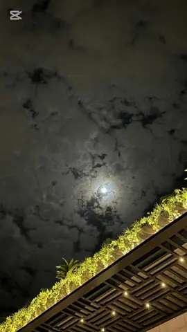 جديد ابو نايف💠😴