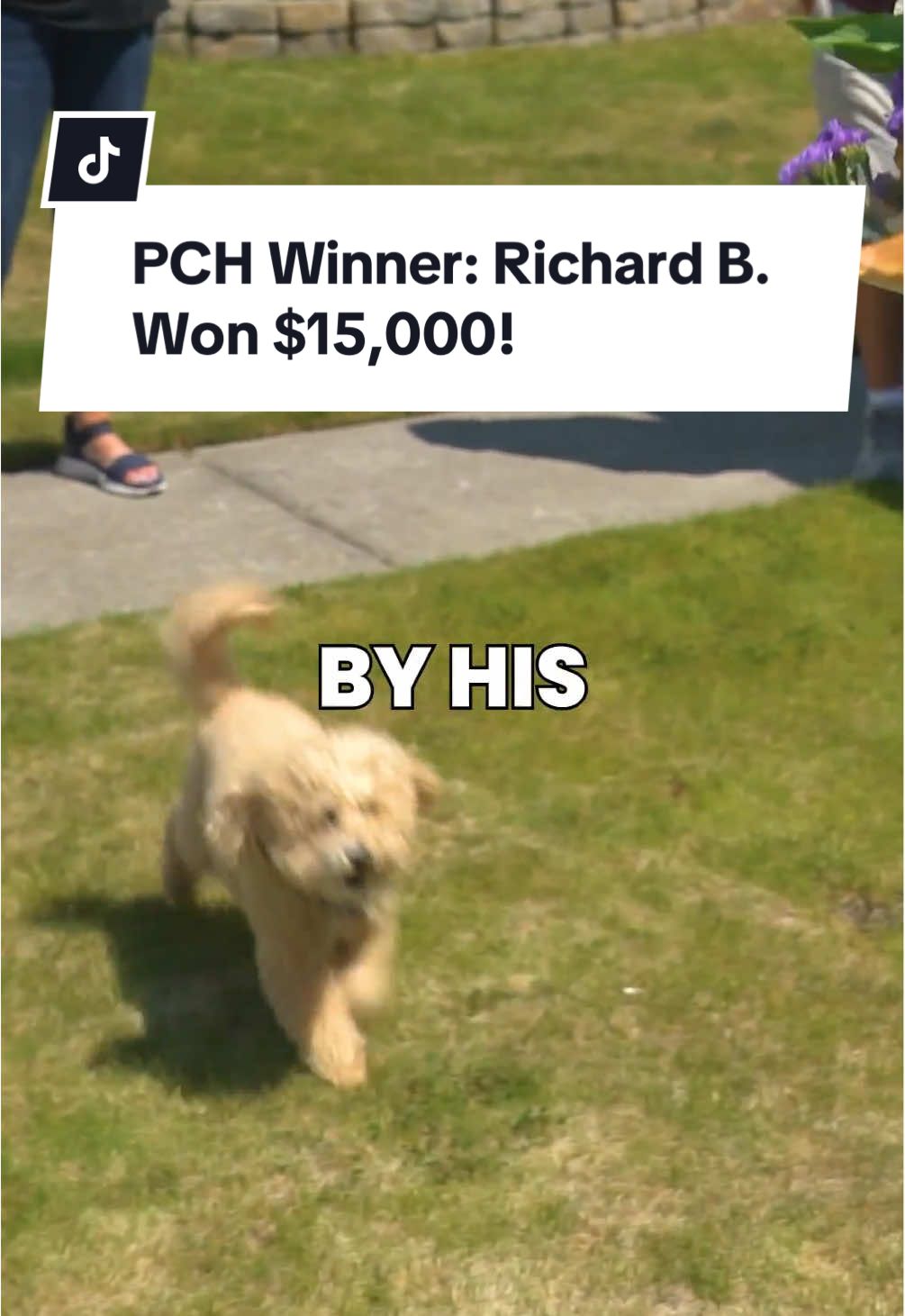 **Adorable Pup Alert** This winning moment was great but we just can't get over how sweet Daisy is! 🐕 What a cutie! Make sure you enter daily if you want to win big like Richard, and let us know in the comments if you have pets that would greet us if we show up at your place! Google Play and the Google Play logo are trademarks of Google LLC. Apple and the Apple logo are trademarks of Apple, Inc. #dayinthelife #oregon #pchwinner #winner #prizepatrol #Vlog #travel #travelvlog #dayinmylife #bigcheck #winningmoment #pchsweepstakes