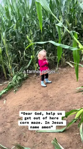 heart of a farmer.. .we believe in seed. 