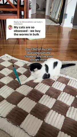 Replying to @Minimalistic cat lady it never ends lol