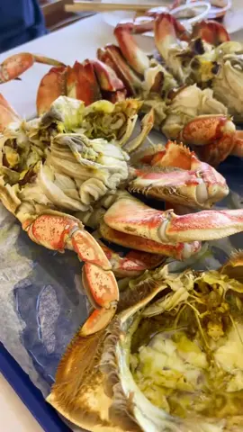 #koreanfoodrecipe #dungenesscrab #redondobeachpier 