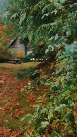 always in love with autumn 🤍🍂 #autumn #fall #fallvibes #october 