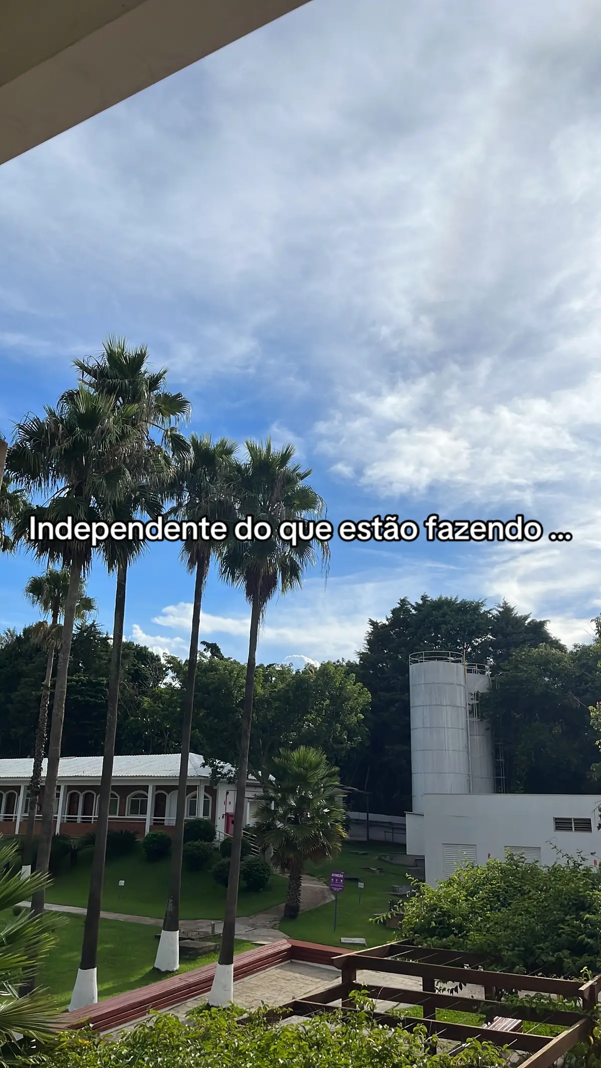 Poderiam me apoiar? 🥹 #sonho #filhos #filhosbênçãodosenhor #vida #estilodevida #fy 