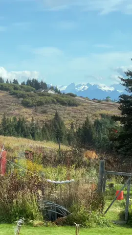 So obsessed #alaska 